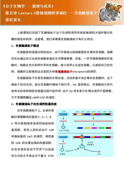 54第五讲第四节 原核细胞的转录调控Ⅱ——色氨酸操纵子-讲义-R