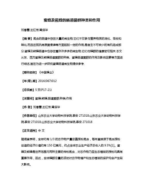 蜜蜂及熊蜂的肠道菌群种类和作用