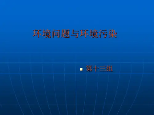 环境问题与环境污染