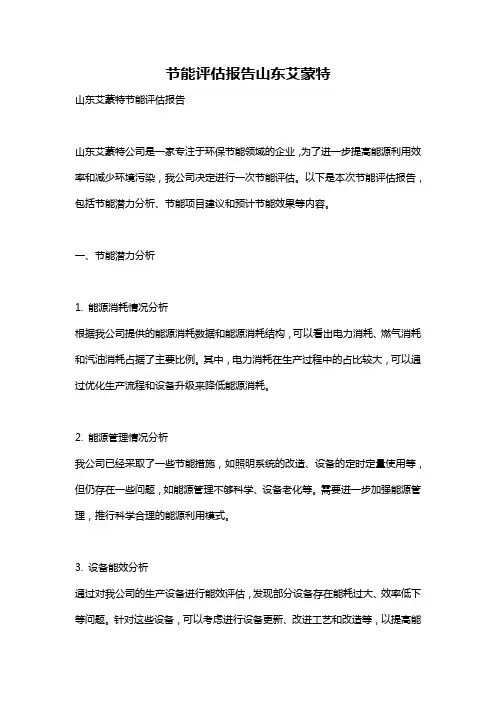 节能评估报告山东艾蒙特