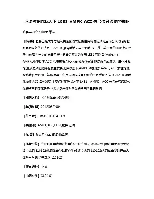 运动对肥胖状态下LKB1-AMPK-ACC信号传导通路的影响