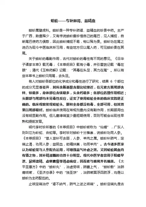 蛤蚧——专补肺肾、益精血