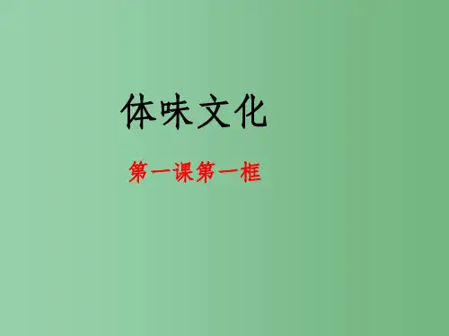 高中政治 第一课 第一框《体味文化》课件 新人教版必修3