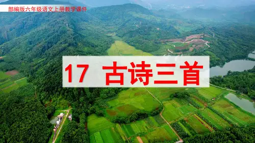 古诗三首【浪淘沙、江南春、书湖阴先生壁】部编版PPT