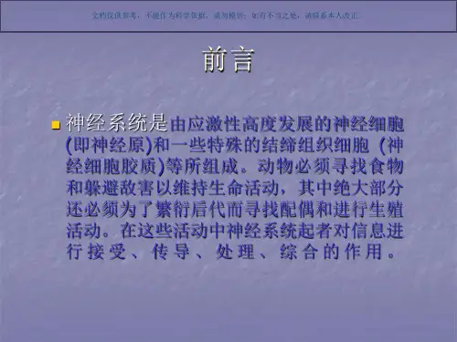 无脊椎动物神经系统的演化和发展课件