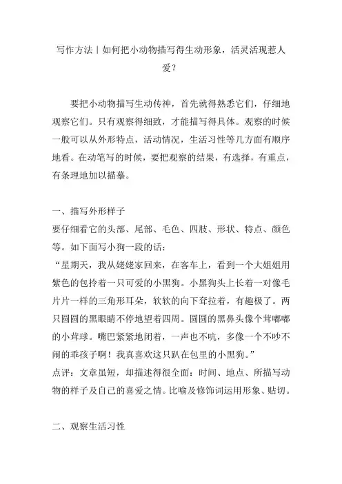 写作方法｜如何把小动物描写得生动形象-活灵活现惹人爱？