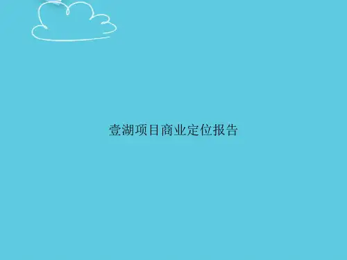 壹湖项目商业定位报告精选PPT