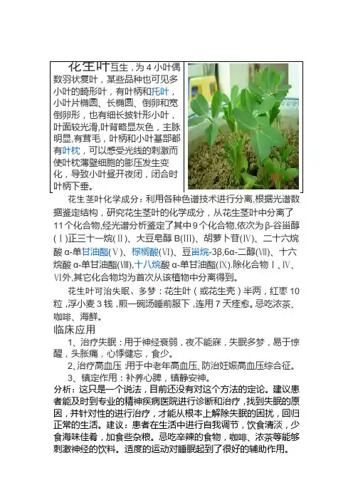 花生叶