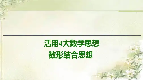 2020数学(理)总复习课件：数形结合思想  典型例题讲解