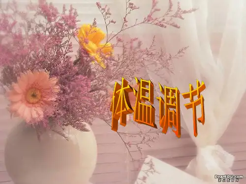 人体稳态第二课时体温调节