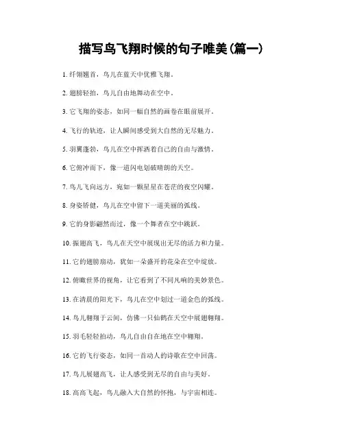 描写鸟飞翔时候的句子唯美(精选2篇)