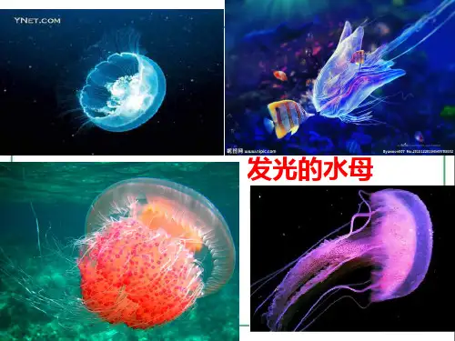 基因工程及其应用课件
