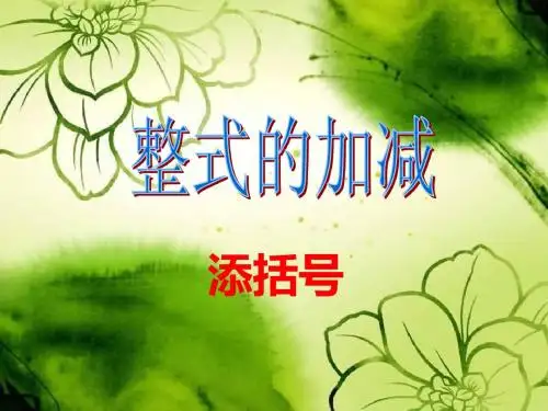 整式的加减添括号