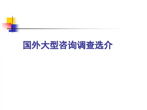 国外大型咨询调查公司情况
