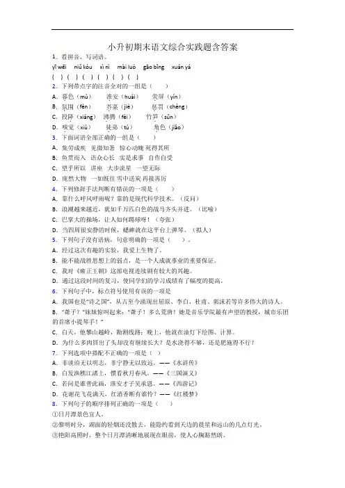 小升初期末语文综合实践题含答案