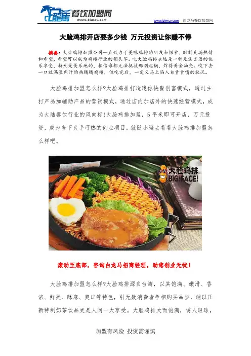 大脸鸡排开店要多少钱 万元投资让你赚不停