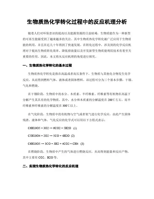 生物质热化学转化过程中的反应机理分析
