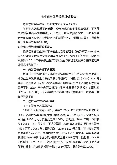 农业农村保险绩效评价报告范文（通用13篇）