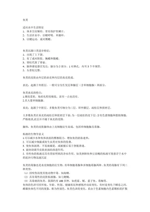 鱼类