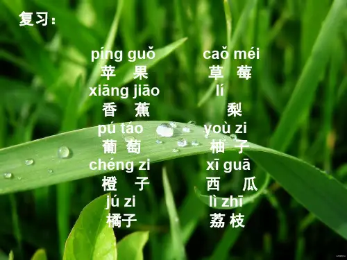 对外汉语教学之颜色的教学(课堂PPT)