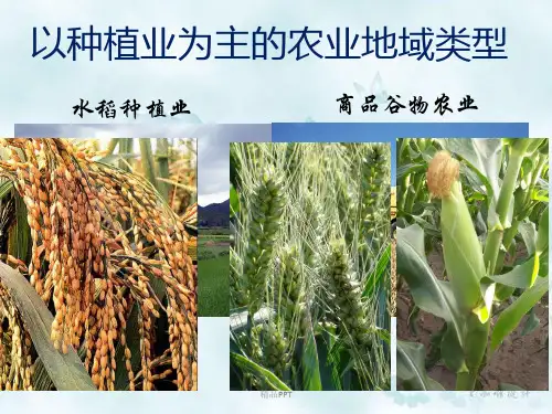 人教版高中地理必修2第三章 农业地域的形成与发展第二节 以种植业为主的农业地域类型课件