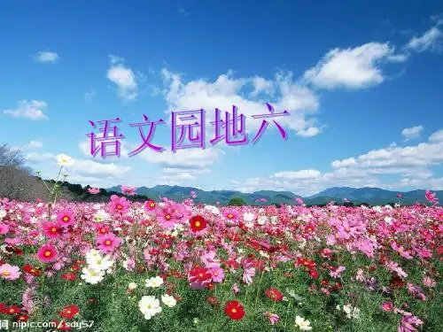 人教版三年级上册语文 语文园地六PPt课件