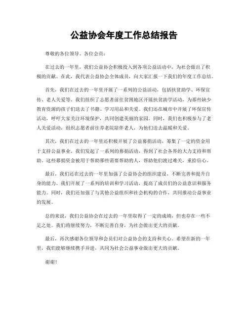 公益协会年度工作总结报告