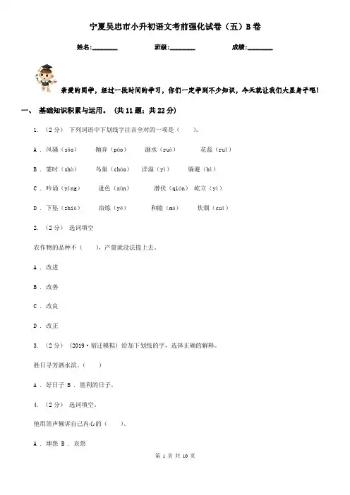 宁夏吴忠市小升初语文考前强化试卷(五)B卷