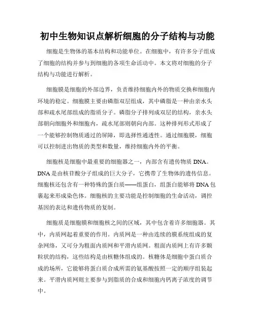 初中生物知识点解析细胞的分子结构与功能
