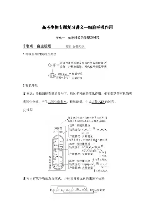 高考生物专题复习讲义—细胞呼吸作用