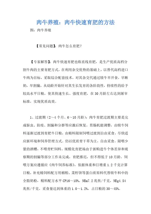 肉牛养殖：肉牛快速育肥的方法