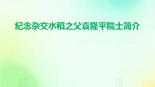纪念杂交水稻之父袁隆平院士简介2024新版
