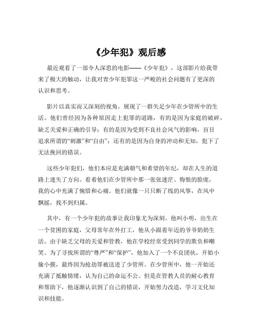 《少年犯》观后感