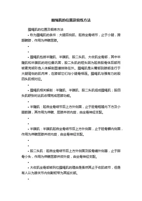 腘绳肌的位置及锻炼方法