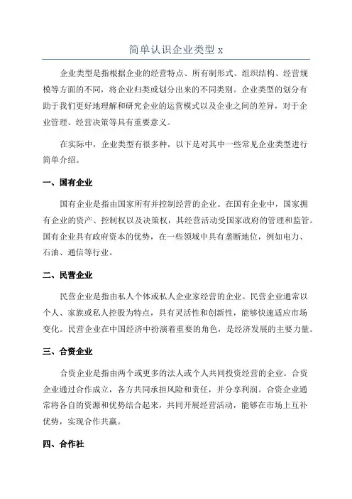 简单认识企业类型x