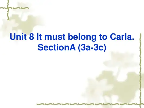 人教新目标九年级英语全册课件 Section A (3a3c)(共25张PPT)