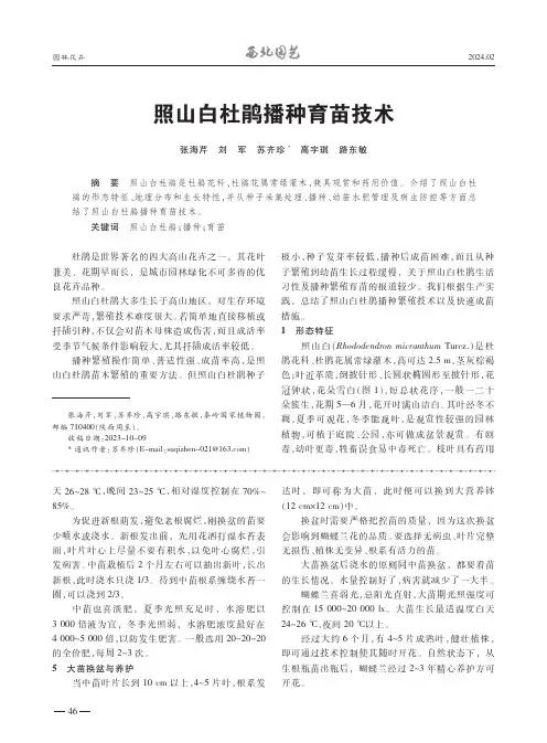 照山白杜鹃播种育苗技术