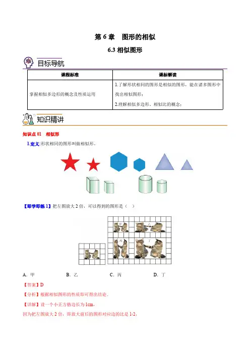 6.3 相似图形-苏科版数学九年级下册精品讲义