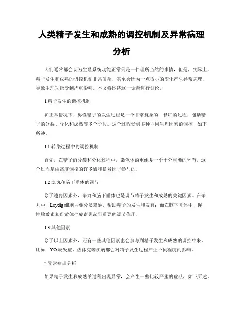 人类精子发生和成熟的调控机制及异常病理分析