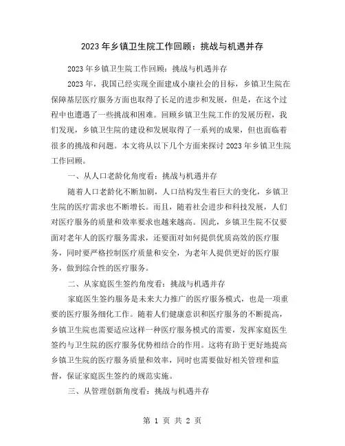 2023年乡镇卫生院工作回顾：挑战与机遇并存