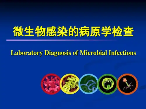 微生物感染的病原学检查 PPT精品课件