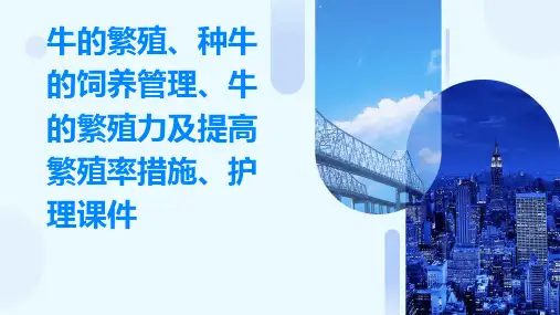 牛的繁殖种牛的饲养管理牛的繁殖力及提高繁殖率措施护理课件