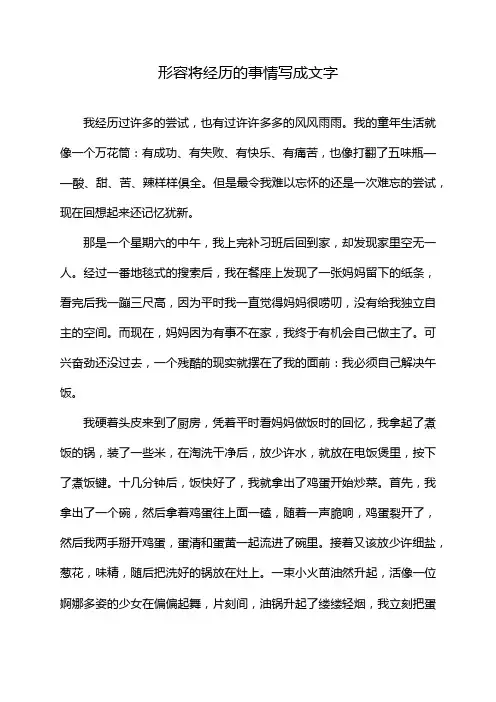 形容将经历的事情写成文字