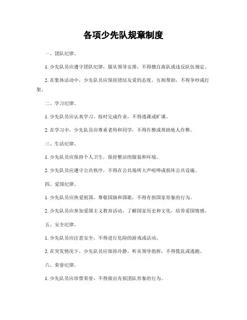 各项少先队规章制度