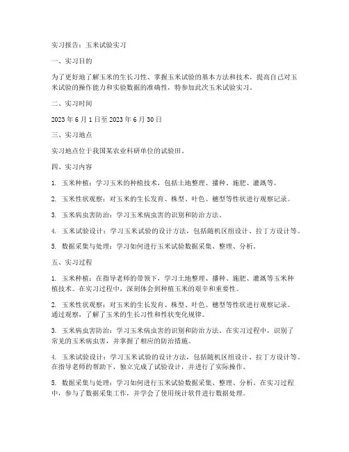 玉米试验实习报告