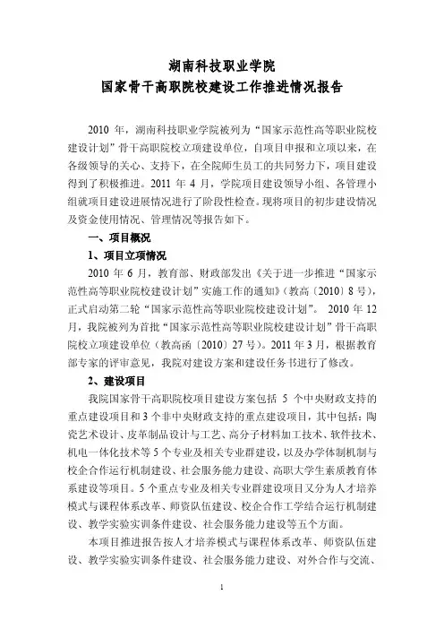 10-28 湖南科技职业学院建设工作推进情况报告