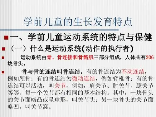 运动系统