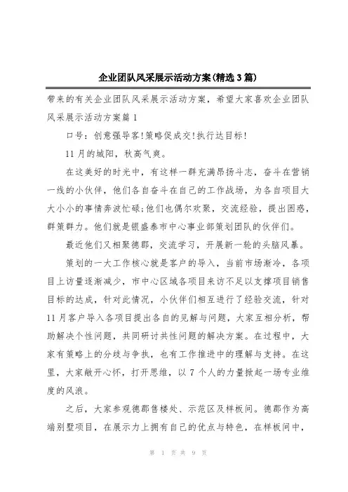 企业团队风采展示活动方案(精选3篇)