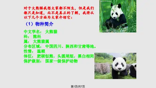 简介大熊猫PPT课件