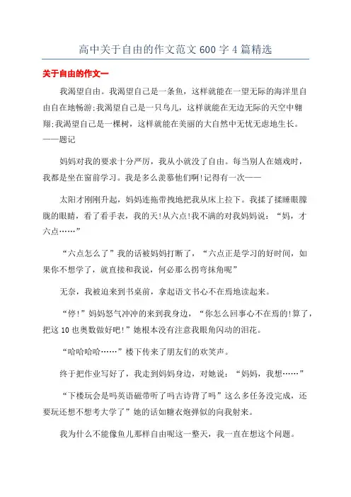 高中关于自由的作文范文600字4篇精选